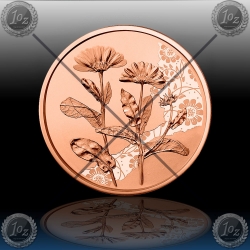 10 EVRO AVSTRIJA 2022 (The Marigold - OGNIČ) UNC 10 EVRO AVSTRIJA 2022 (The Marigold - OGNIČ) UNC